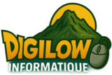 logo de digilow informatique (1)